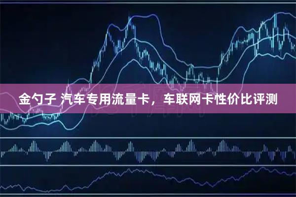 金勺子 汽车专用流量卡，车联网卡性价比评测